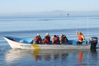  Setting out to watch whales